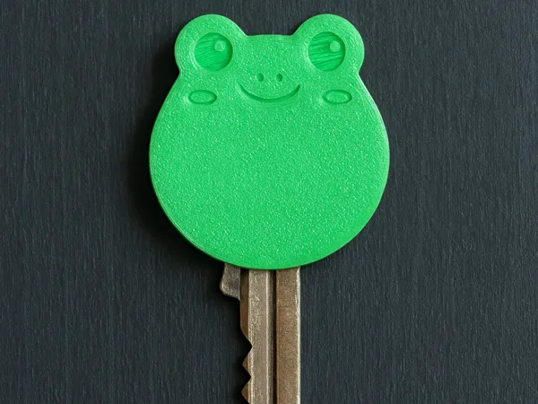 https://makerworld.bblmw.com/makerworld/model/US1b30ac81ab0b13/design/2025-08-14_0a353877ec1ba8.png