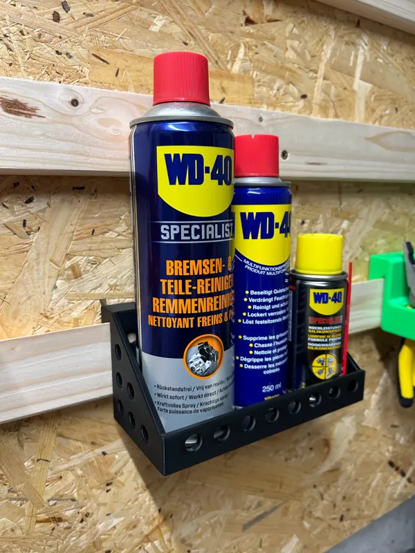 https://makerworld.bblmw.com/makerworld/model/US1b3539e67811e9/design/2024-03-23_f3b997fce70e1.png