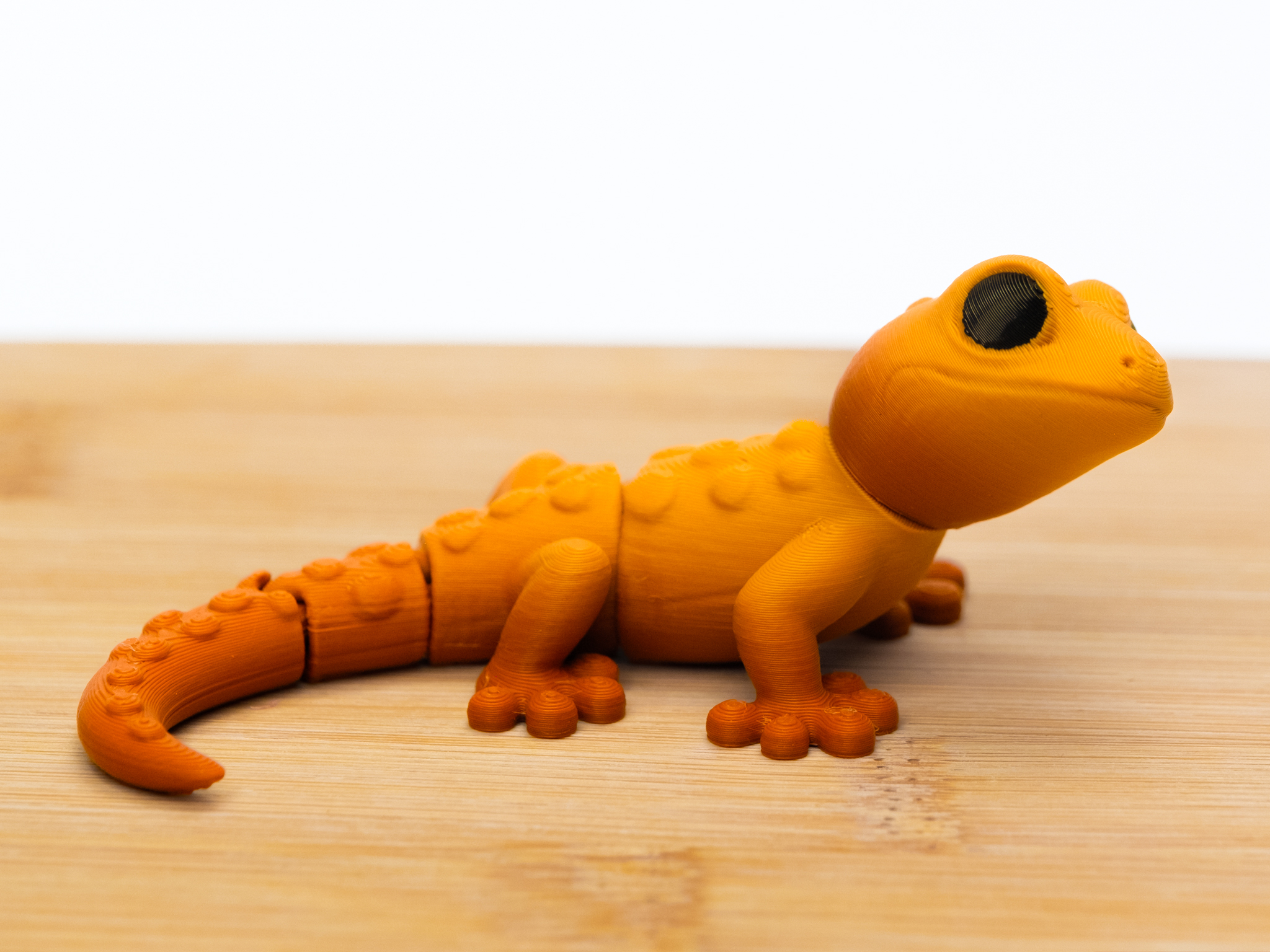 Flexi Gecko - 1