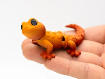 Soporte: Flexi Gecko — vista de referencia 5