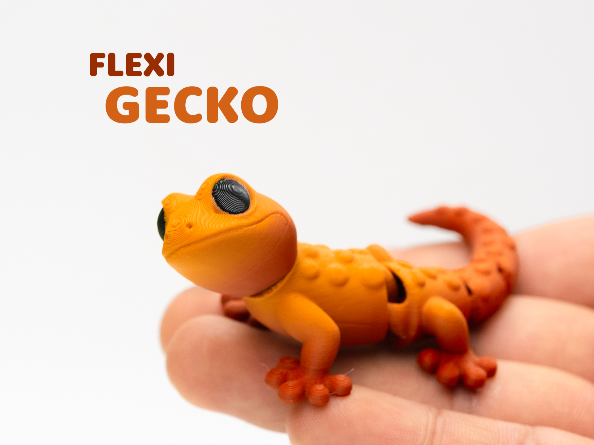 Flexi Gecko 3D model