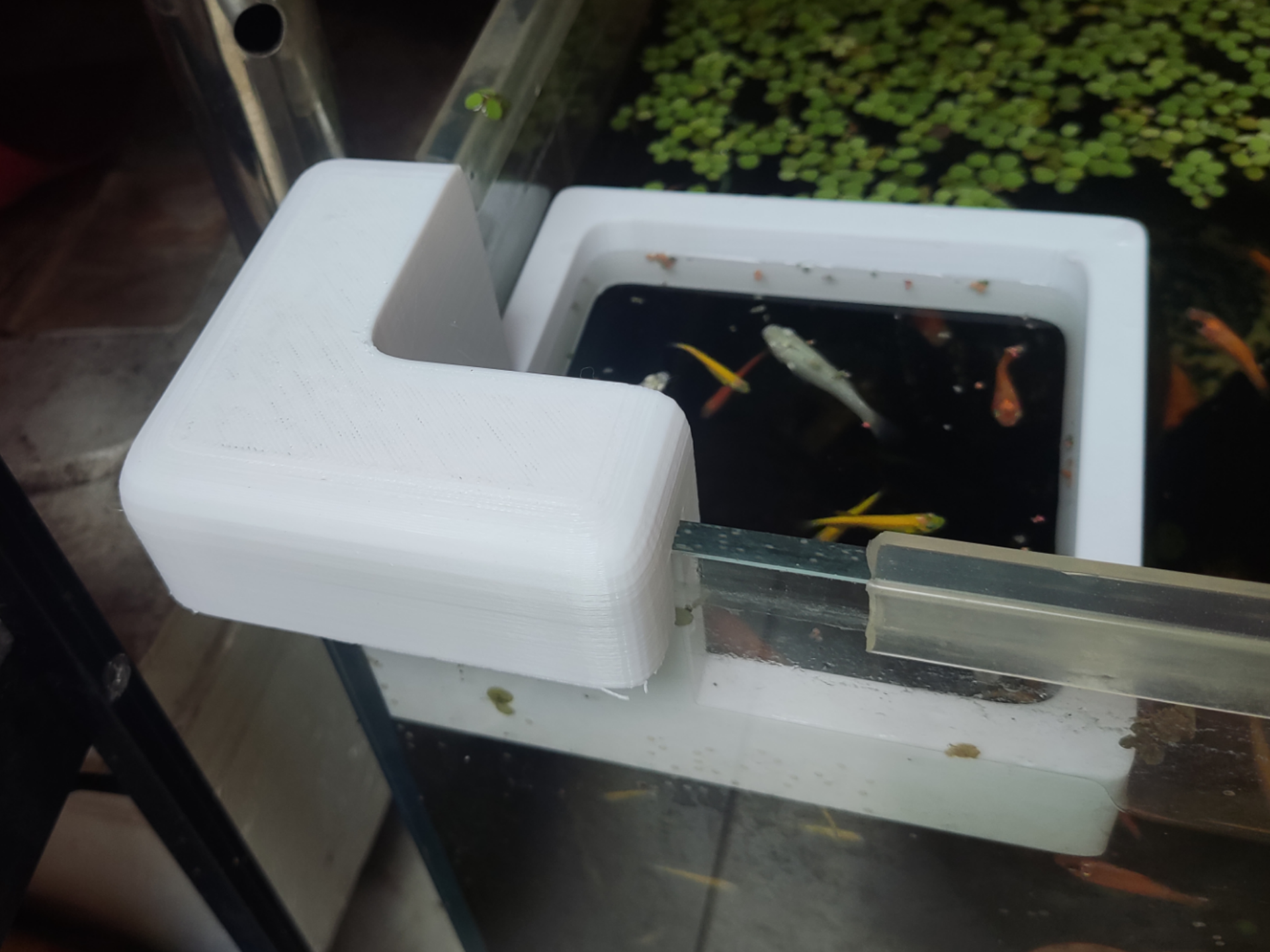 小鱼喂食圈、鱼缸喂食圈、喂食环、鱼缸喂食器Small fish tank feeding ring