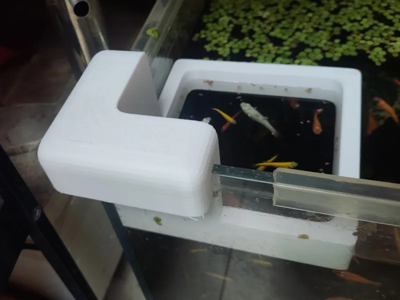 小鱼喂食圈、鱼缸喂食圈、喂食环、鱼缸喂食器Small fish tank feeding ring