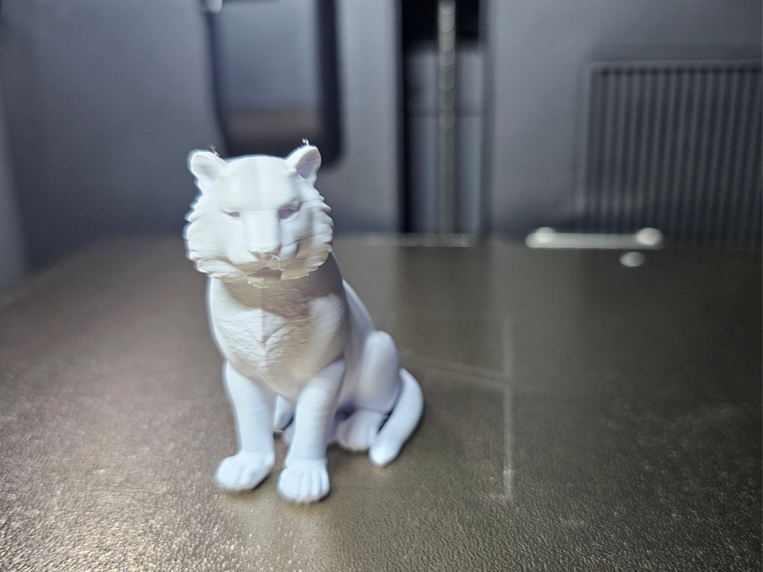 Tiger sitzend - Tiere aus aller Welt