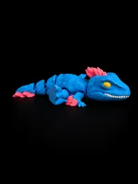 Mongo 4 color AMS