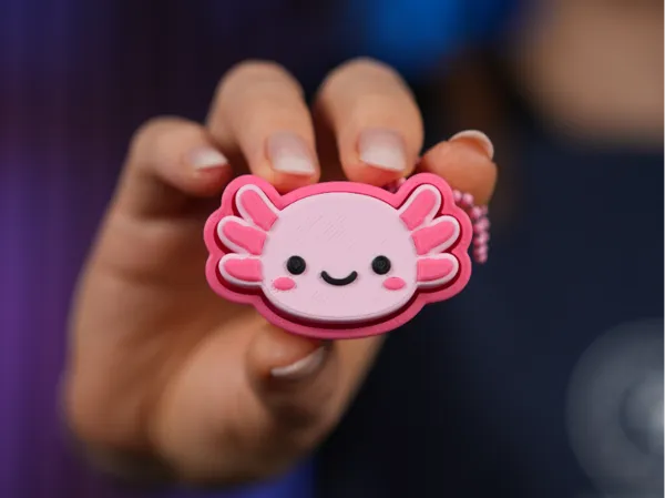 https://makerworld.bblmw.com/makerworld/model/US1b3a5cd5b6e1ce/design/2e930c946bce1a6d.jpg