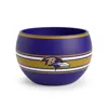 Baltimore Ravens - Sleeve Stripe