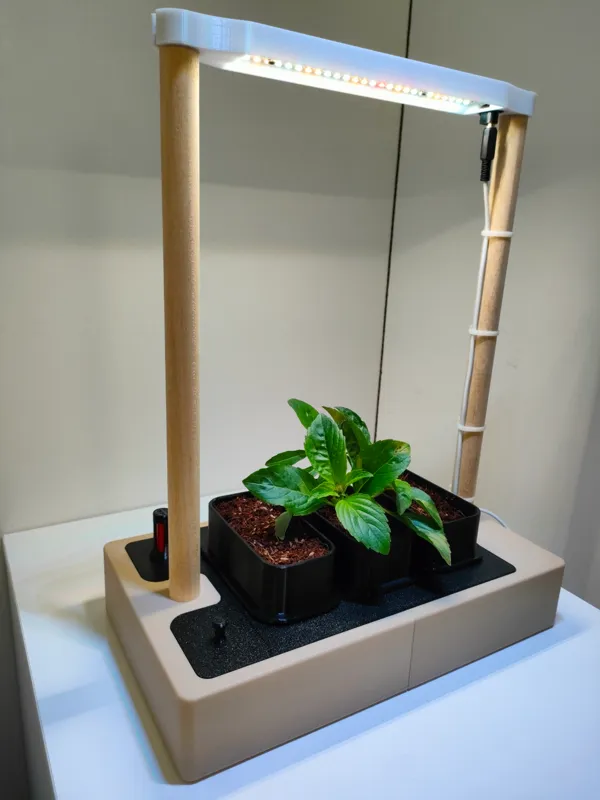 https://makerworld.bblmw.com/makerworld/model/US1b3bf79bd63570/design/2024-12-19_6b3b400455e31.jpg