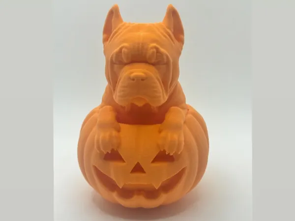 https://makerworld.bblmw.com/makerworld/model/US1b3c7c11a03980/design/2025-06-25_37275903d58538.jpg