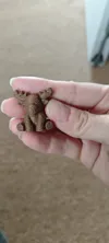 Fuzzy skin