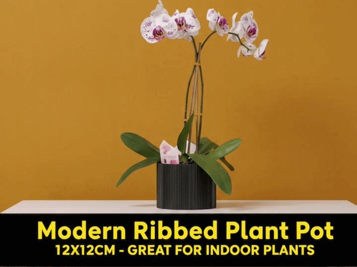 Modern Ribbed Plant Pot