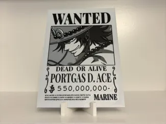 Ace Bounty Poster (One Piece) 