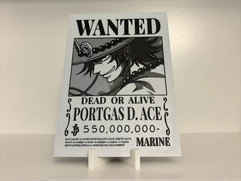 Ace Bounty Poster (One Piece) 