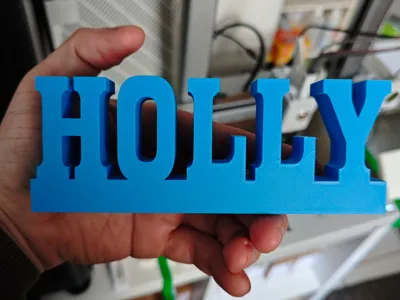 Name Holly