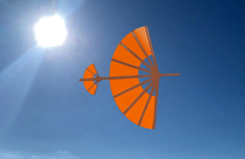 Aang's Glider