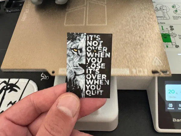 https://makerworld.bblmw.com/makerworld/model/US1b4f7093bbbbfb/design/2024-09-19_e6234d5ecb3568.png
