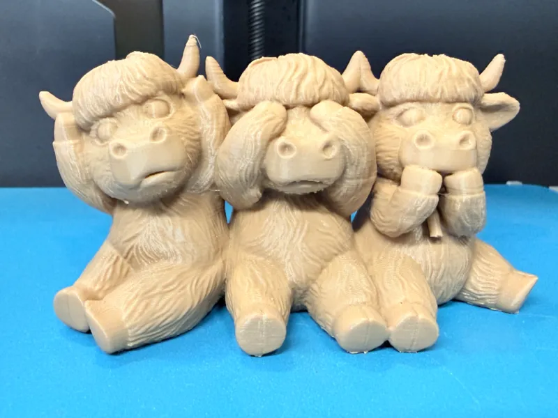 See Hear Speak No Evil Highland Cows