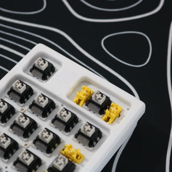 https://makerworld.bblmw.com/makerworld/model/US1b50abd89e4fa7/design/2024-04-18_19404eaa76cde.jpg