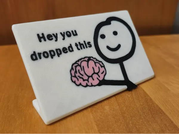 https://makerworld.bblmw.com/makerworld/model/US1b52bdf79b258e/design/2025-01-07_93c0a949c0033.jpg
