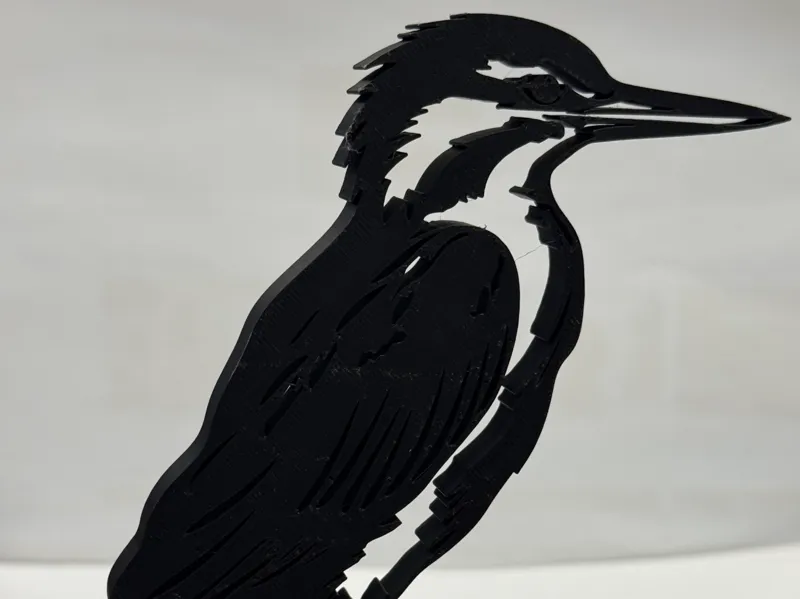 Kingfisher Wall Art 