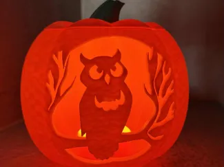 Owl in tree pumpkin