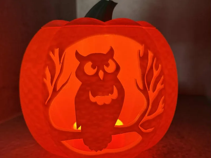 Owl in tree pumpkin