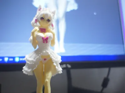 Neko Bride Girl