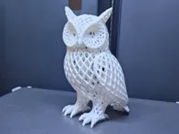 Voronoi Eule