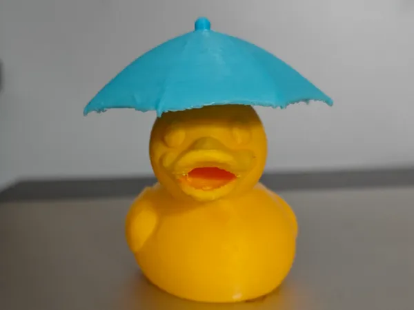 https://makerworld.bblmw.com/makerworld/model/US1b642a000c6ed1/design/2025-06-06_ce0f5c77fac38.jpg