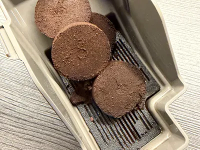 DeLonghi Rivelia Anti-mold Sieve for Coffee Grounds