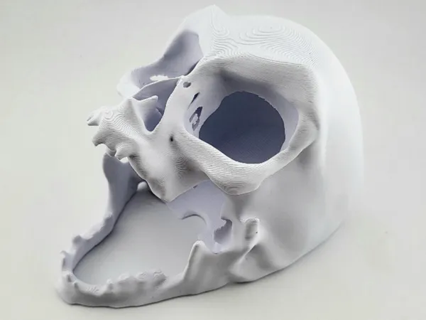 https://makerworld.bblmw.com/makerworld/model/US1b66fbf81ee0dd/design/2025-01-22_a149a984ca1858.jpg