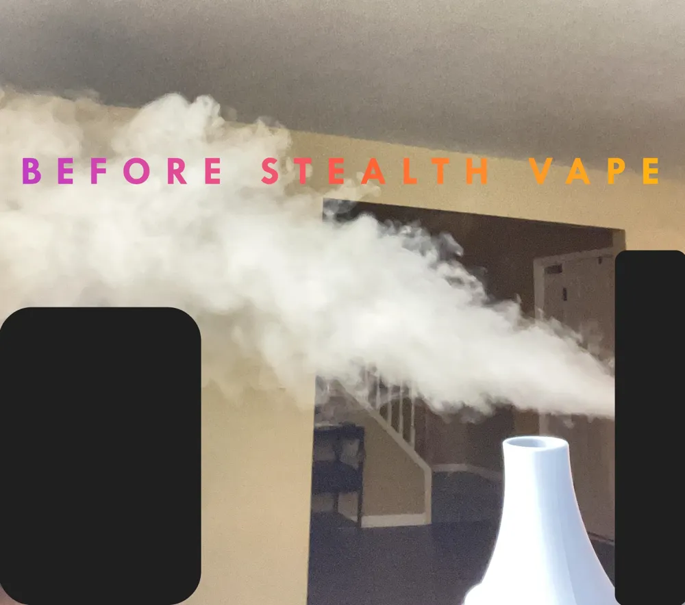 Stealth Vape / Smoke Eliminator / Filter - Free 3D Print Model - MakerWorld