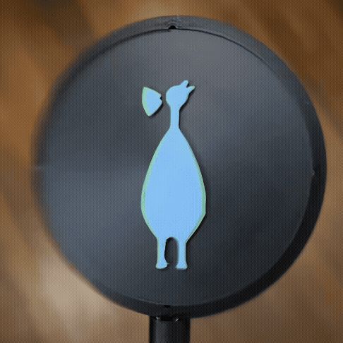 What's A Thaumatrope?  7 Spinning Illusions