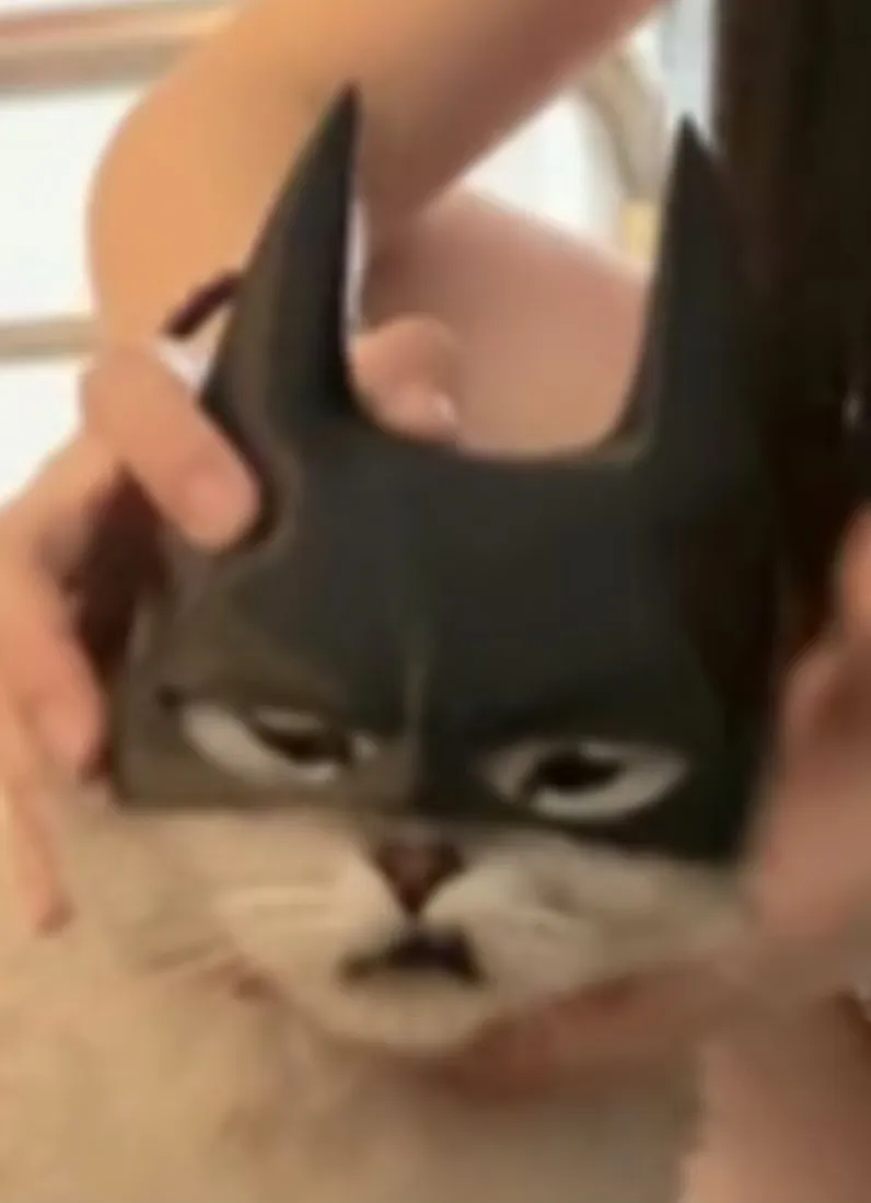 蝙蝠侠猫猫头盔 view 3