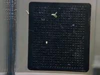 0.2mm 层高, 3 层墙, 15% 填充