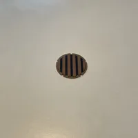 120/80 mm fan hub with a ring