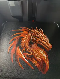 0.08mm layer, 2 walls, 100% infill