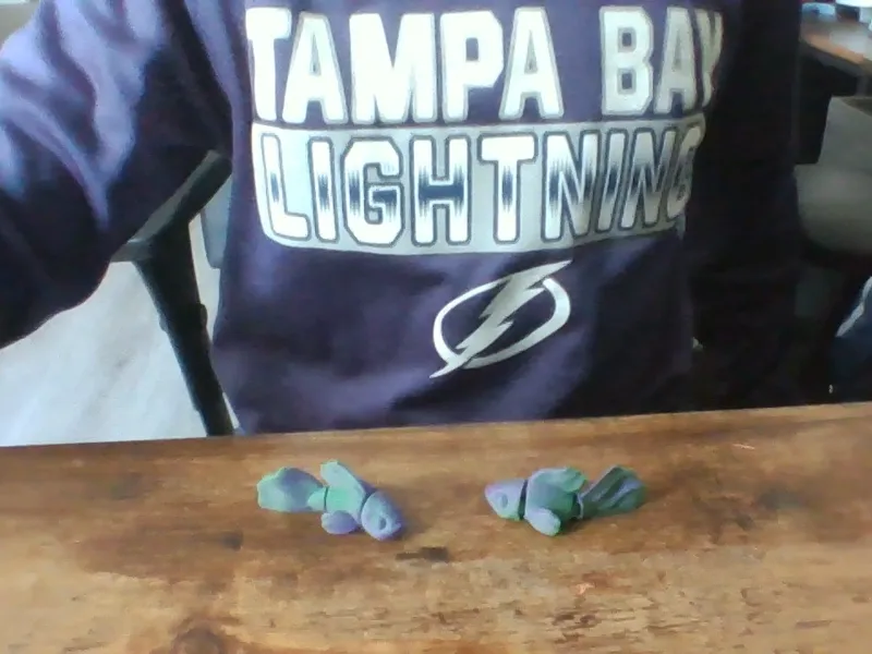 fidget fish 