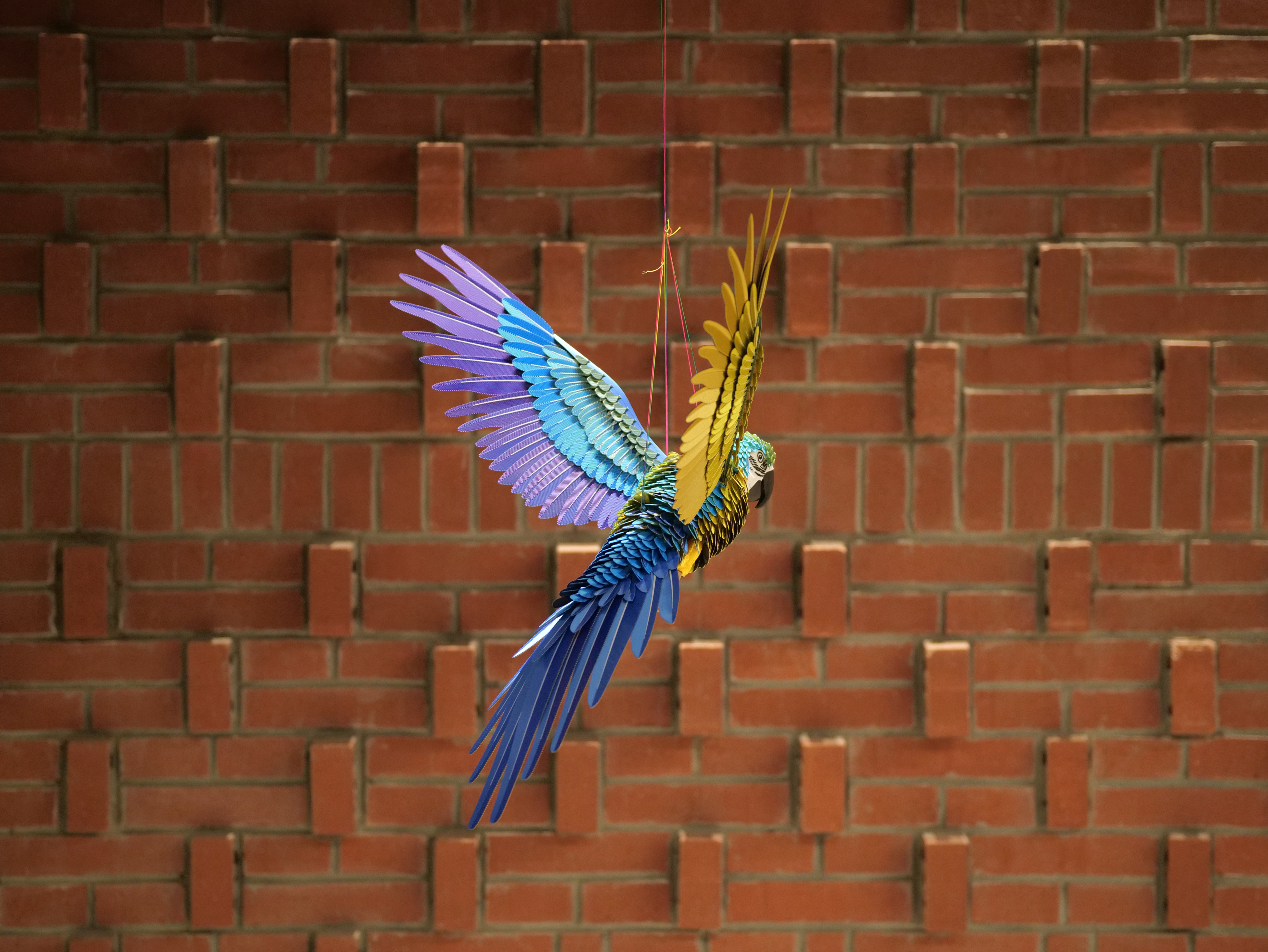 Miniatura 10 do modelo 3D Assemble Lab: LifeSize Macaw