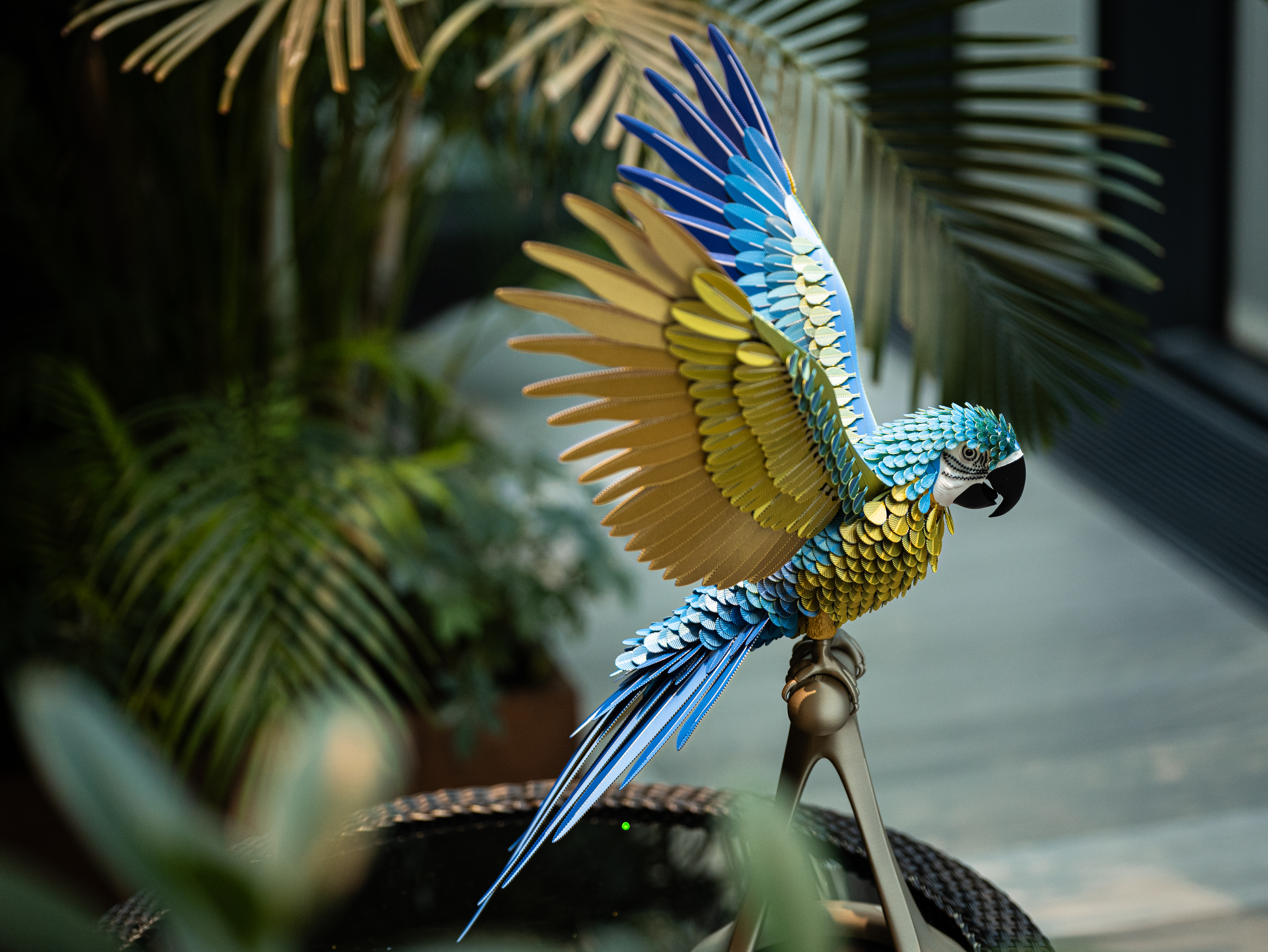 Miniatura 6 do modelo 3D Assemble Lab: LifeSize Macaw