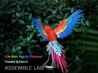 Scarlet Macaw - Body - 256mm plate