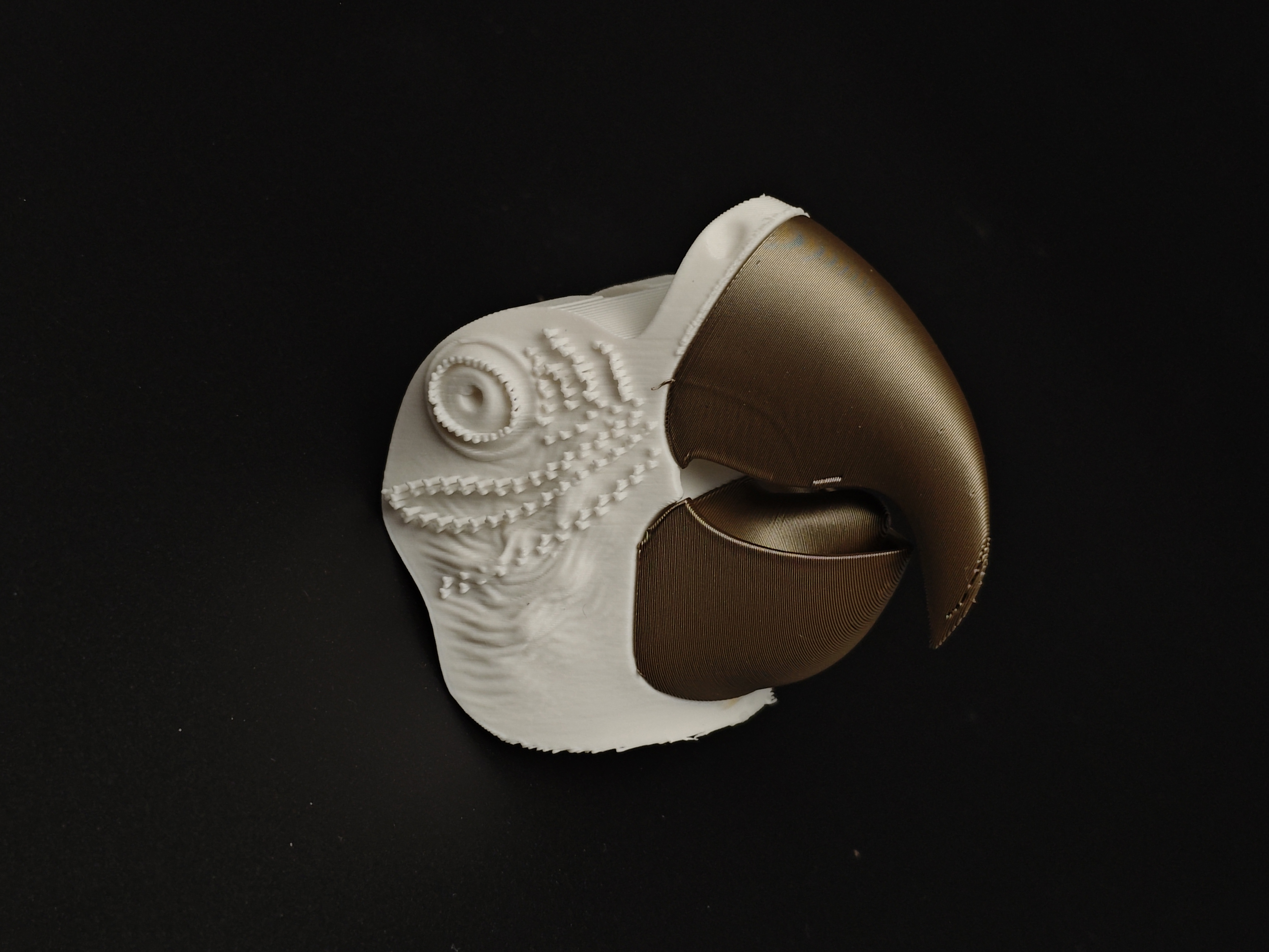 Miniatura 1 do modelo 3D Assemble Lab: LifeSize Macaw