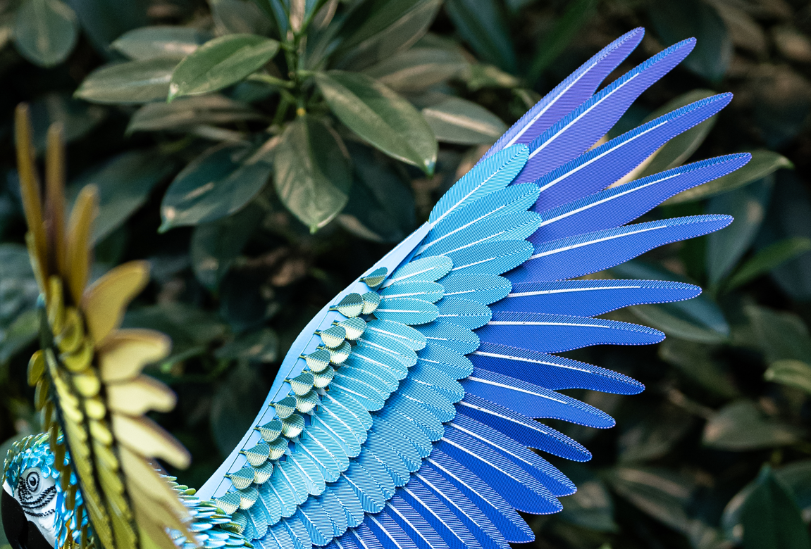 Miniatura 7 do modelo 3D Assemble Lab: LifeSize Macaw