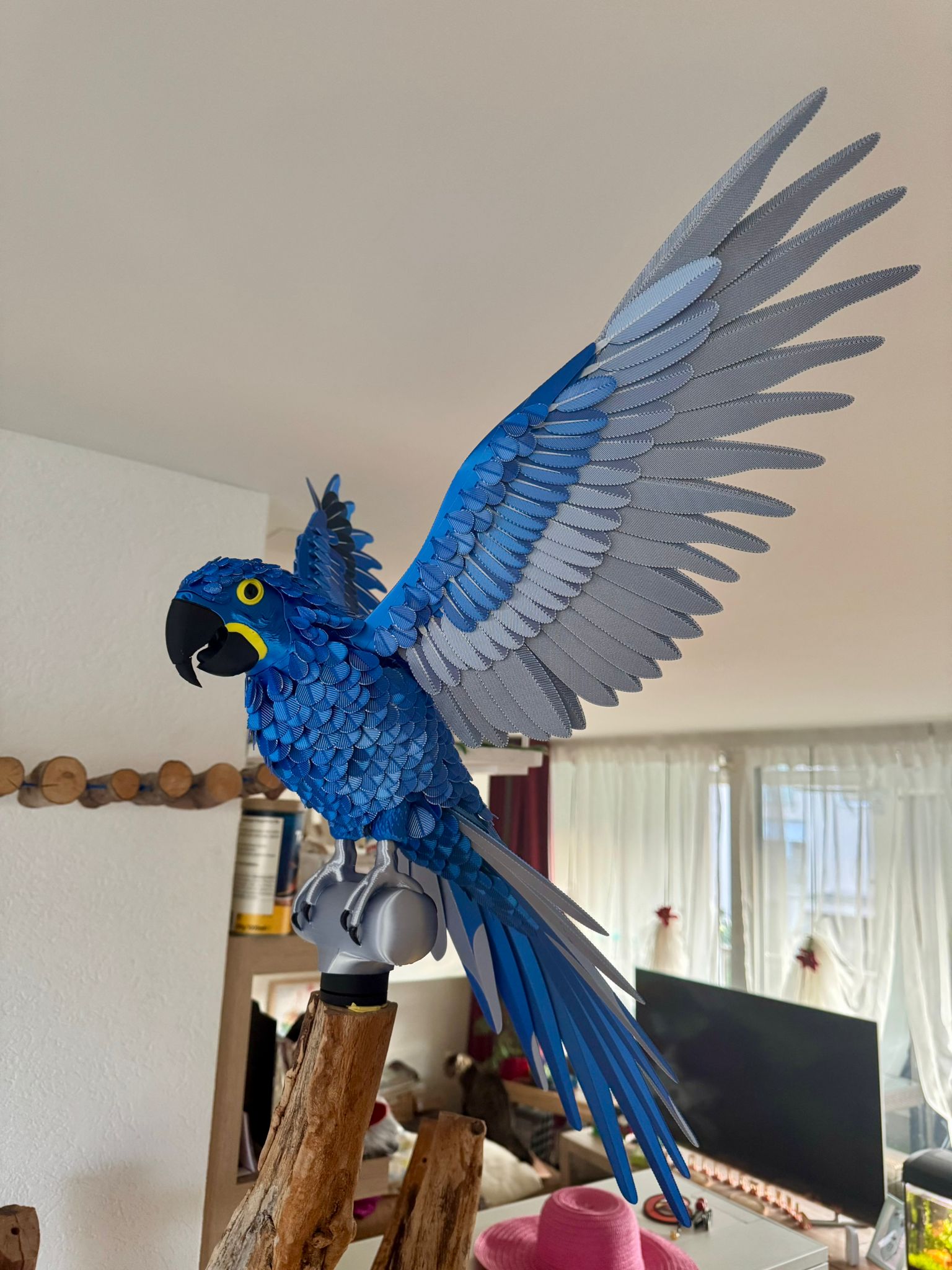Miniatura 17 do modelo 3D Assemble Lab: LifeSize Macaw