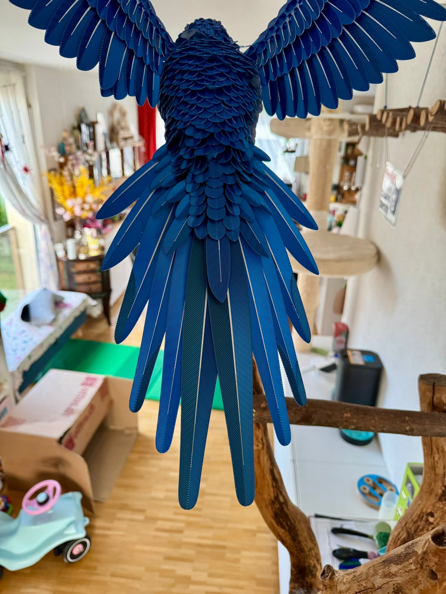 Miniatura 18 do modelo 3D Assemble Lab: LifeSize Macaw