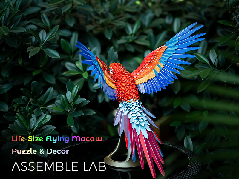 Assemble Lab: LifeSize Macaw