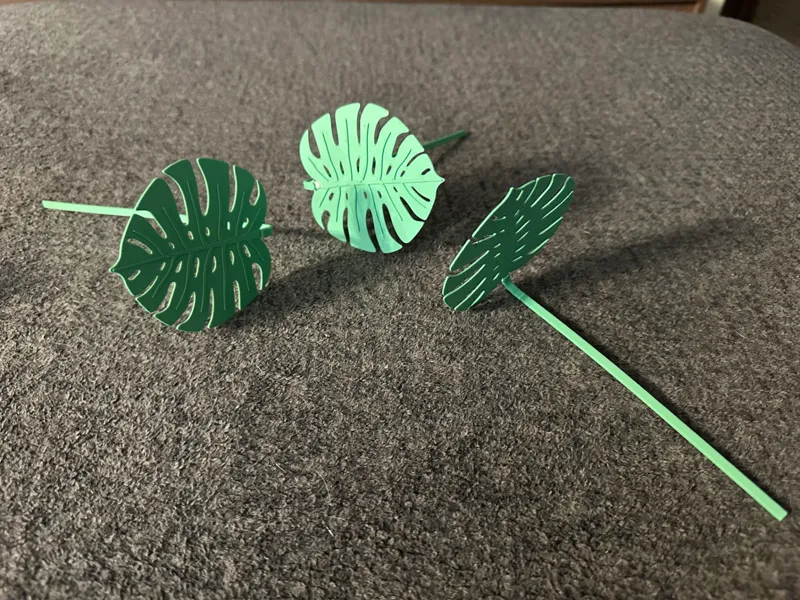 Mini Monstera Deliciosa Leaf