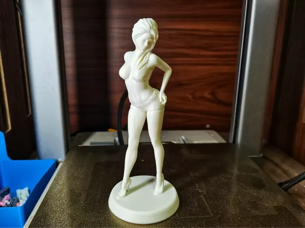 https://makerworld.bblmw.com/makerworld/model/US1b7c4094291806/design/2025-10-20_af4437fadcb5c.jpg