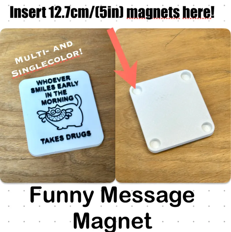 Funny Message Fridge Magnet [4x12mm/0.5in Magnets]
