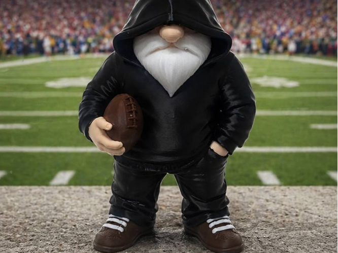NFL Football Gnome Hoodie 